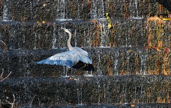 Take It To The Top thumbnail