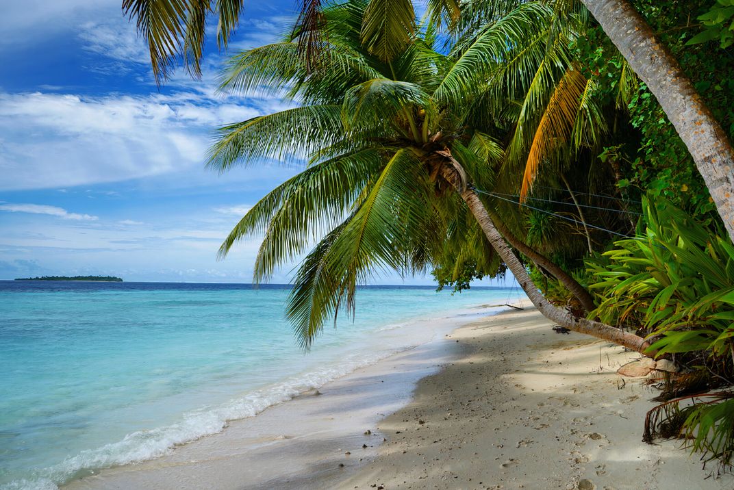 An Otherworldly Beach in The Maldives | Smithsonian Photo Contest ...