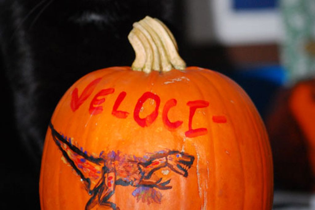 20110520083106raptor-pumpkin-009.jpg