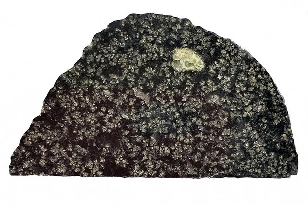 a roughly semi-circle-shaped cross-section slice of a meteorite