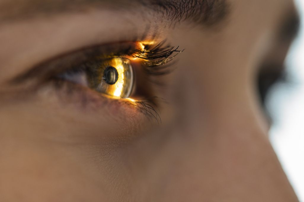 an eye with light shining through the retina