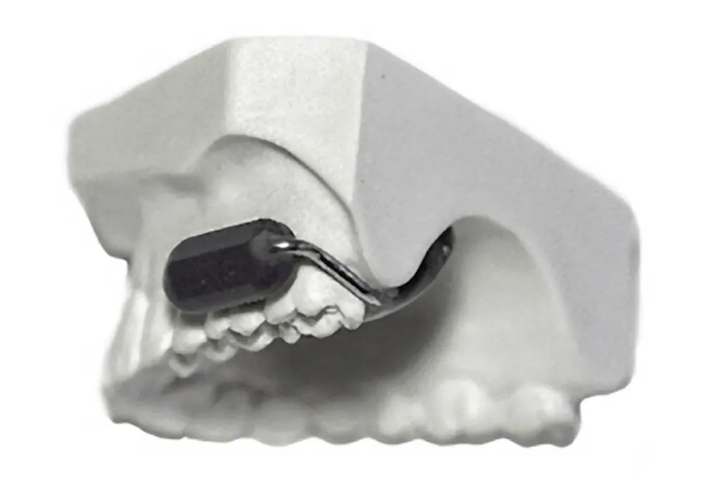 Molar Mic