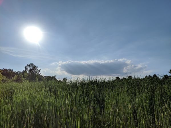 July Breeze thumbnail