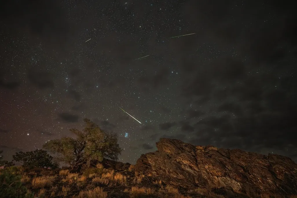 perseids