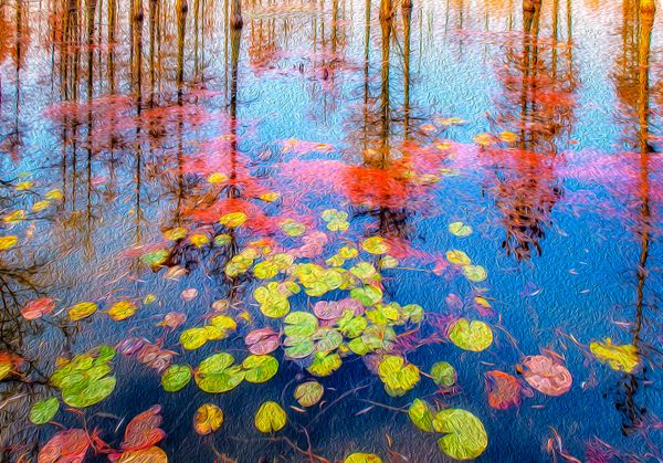Colorful wetlands thumbnail