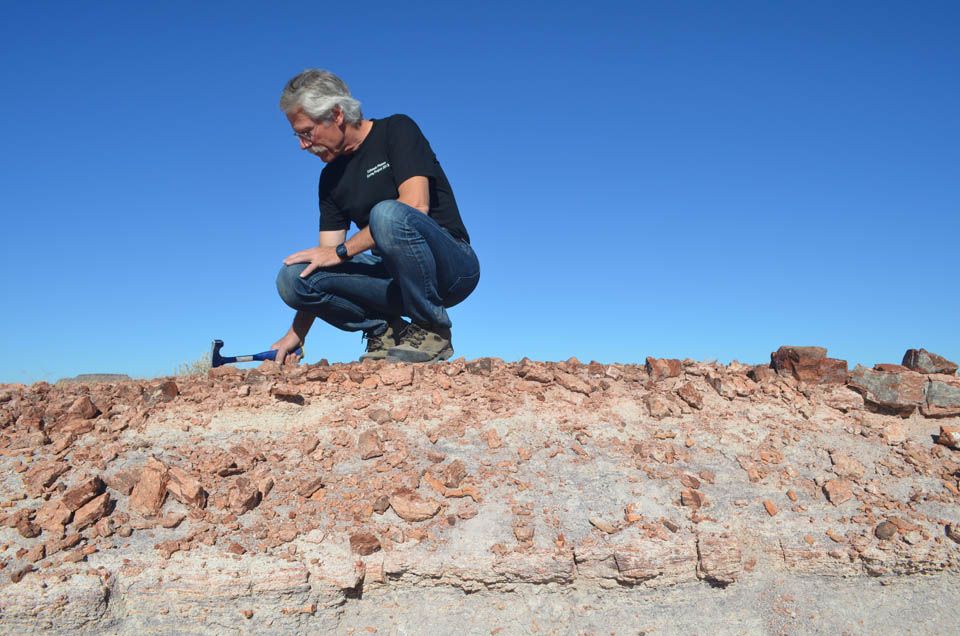 Defying Critics, Paleontologist Paul Olsen Looks for Hidden Answers Behind Mass Extinctions