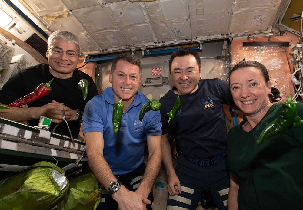 Four astronauts pose on the International Space Station. In front of them are four floating chile peppers.
