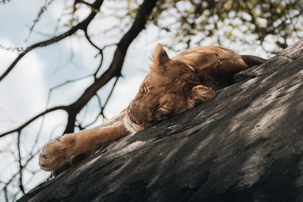 Deep Slumber thumbnail