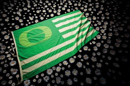 The homemade flag carried by Lanphier High School students during their march to the Illinois State Capitol on the first Earth Day. 
