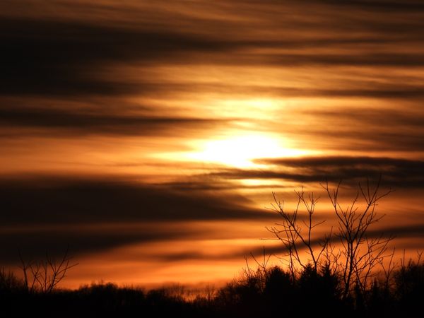 Different Skies thumbnail