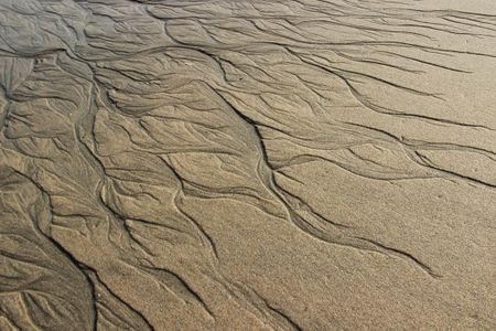 "Watermarks" earned first place in the contest. “The way water in this picture found its way back to the ocean reminded me of a peacock's tail spreading under the sun or a woman's hair blowing in the wind,” Sadri writes.