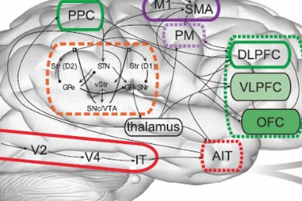 Meet Spaun, a computer model that mimics brain behavior.