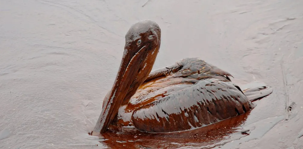 Oil spill 1