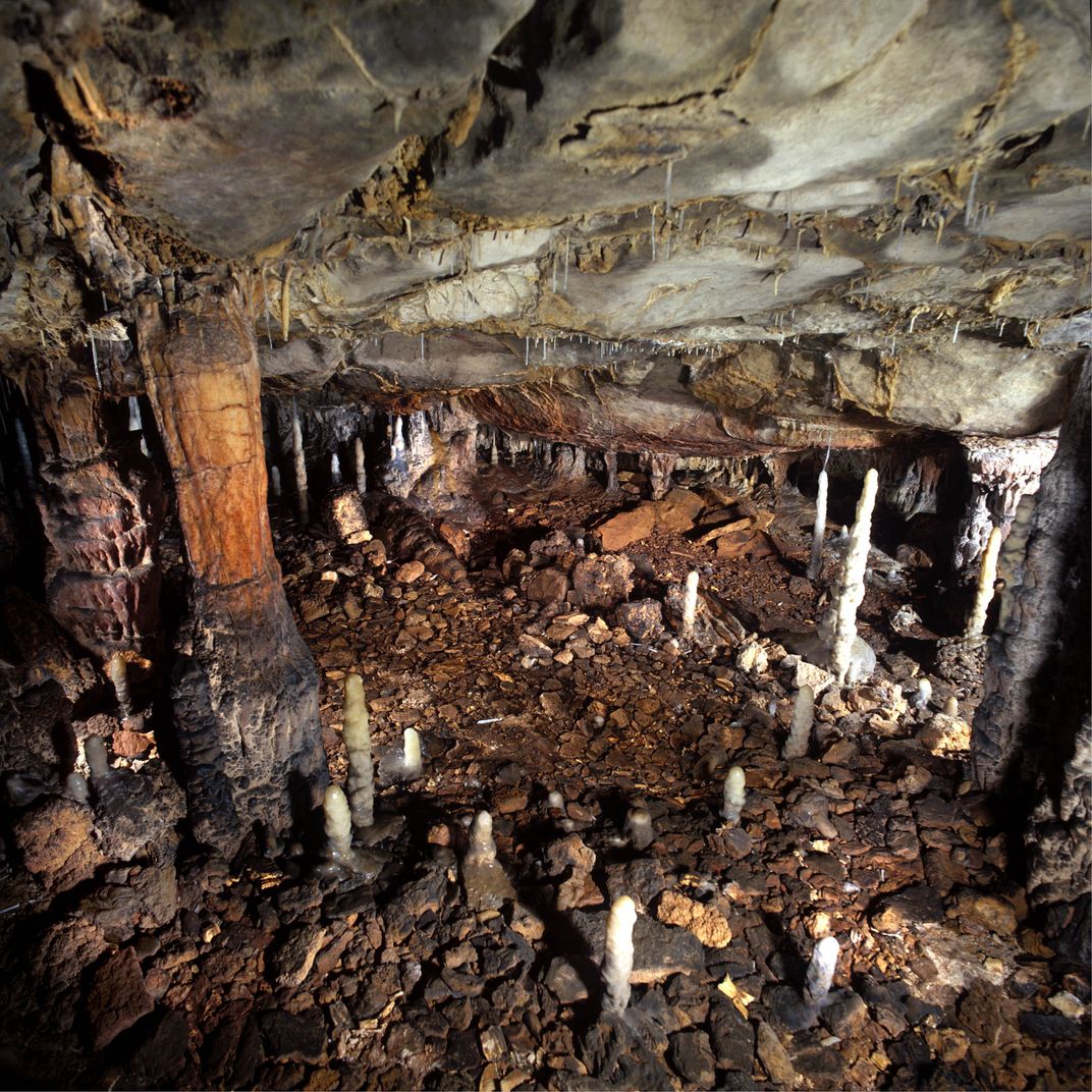 Humans May Have Hunted Cave Lions to Extinction—For Throw Rugs