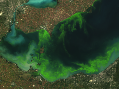 Algae bloom on Lake Erie in 2011