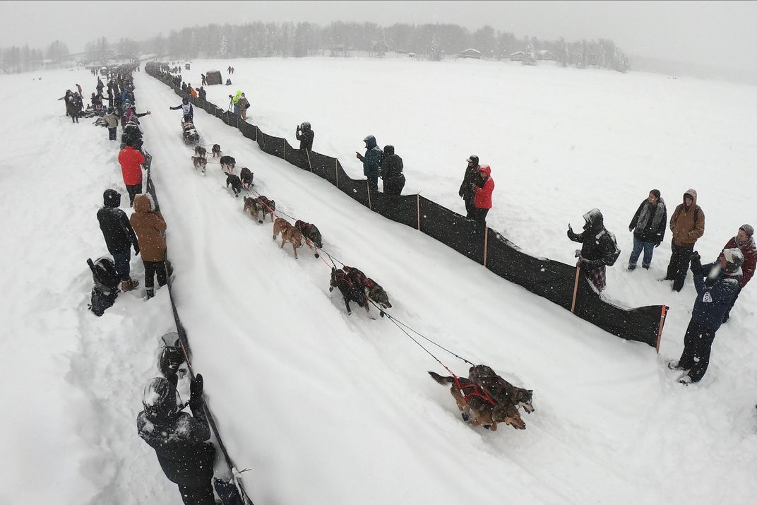 iditarod