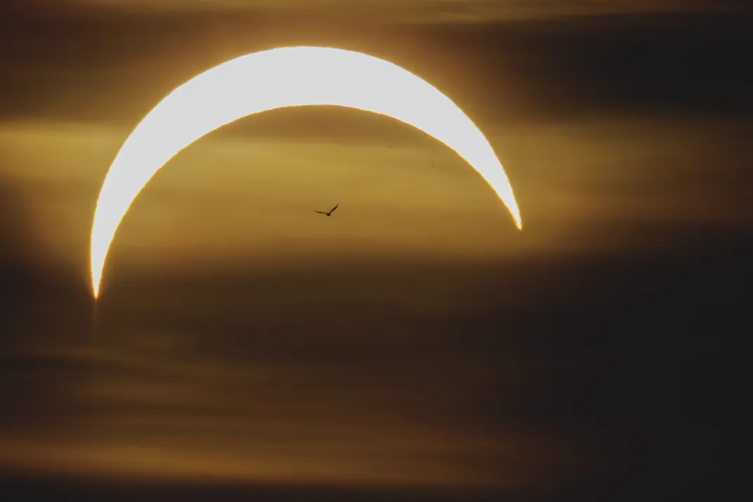 the sun appears as an arch with one bird flying beneath it