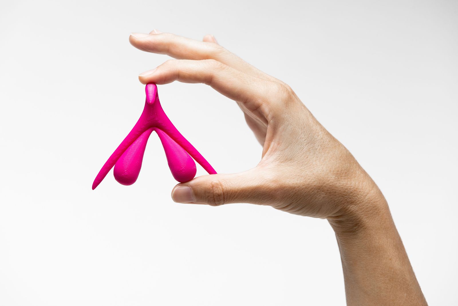 Scientists Just Made the Most Complete Map of the Clitoris's Sensory Nerve Network. Here's What They Found