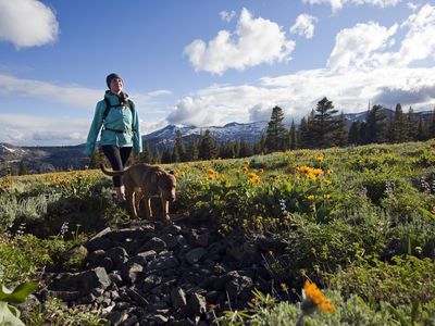 With Desolation Wilderness's Crystal Range in the background, a woman hikes with her dog through a field of wildflowers 