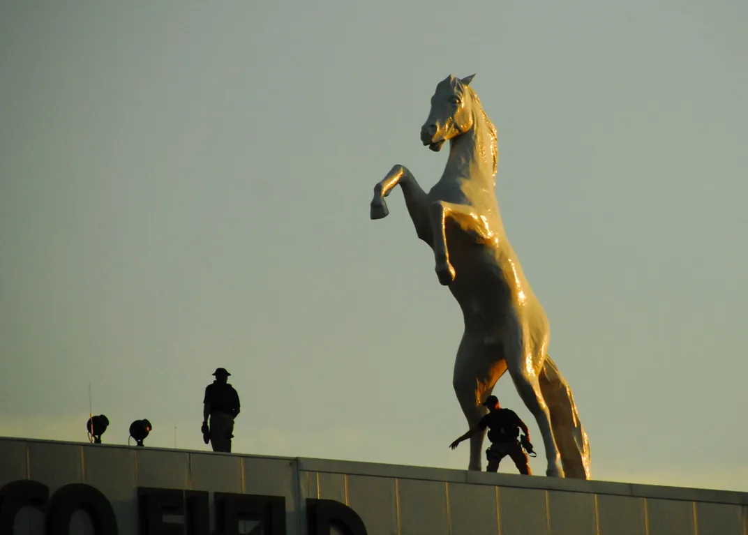 that looks like a bronco denver donkey