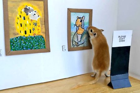 London-based couple Filippo Lorenzin and Marianna Benetti built a miniature museum for their pet gerbils.