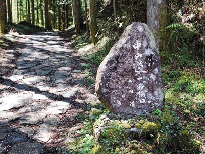 Kiso-Road-Nakasendo-road-stone-631.jpg