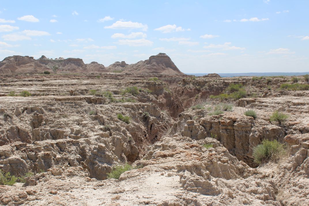 badlands guardian from the ground