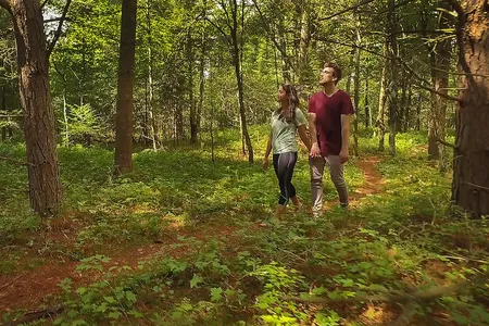 iForest is an immersive sound experience located at The Wild Center in the Adirondacks.