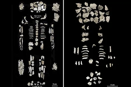 Researchers found the remains of a high-ranking woman (left) and her two twin fetuses (right) in a Bronze Age urn in central Hungary.
