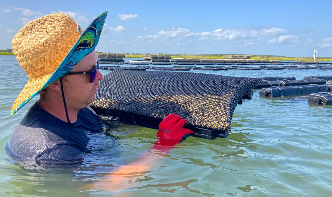 North Carolina's Oyster Trail Aims to Give the Farmed Shellfish Industry a Boost