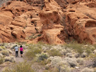The incident took place on the popular Redstone Trail in Nevada&#39;s&nbsp;Lake Mead National Recreation Area.