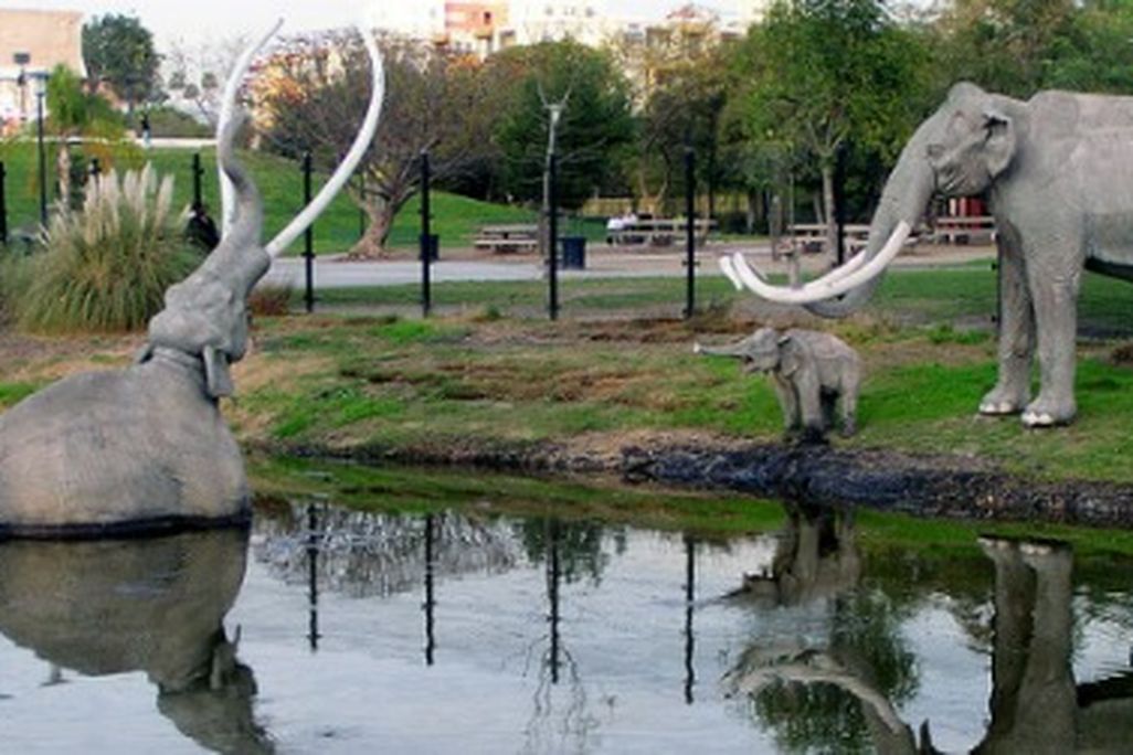 A woolly mammoth sinks into the tar at the La Brea Tar Pits in Los Angeles.