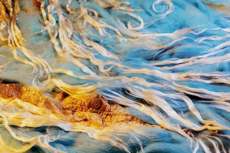 blue and white fibers