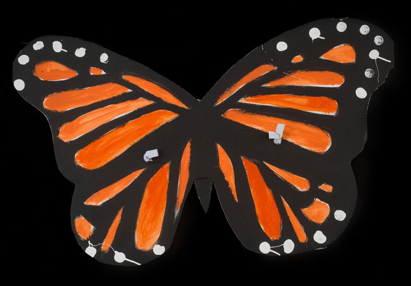 Monarch wings.jpg