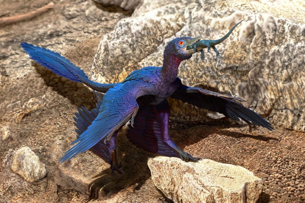 Indrasaurus