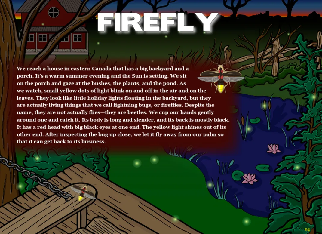 Image of fireflies in the night sky with sample text from ebook