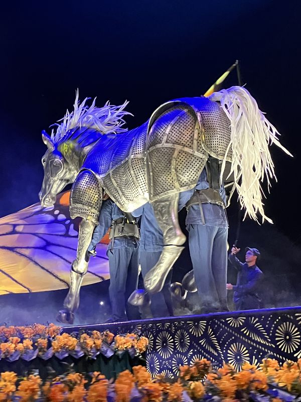 Preparing for the circus thumbnail