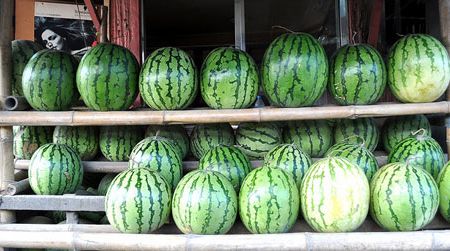 Delicious looking watermelons