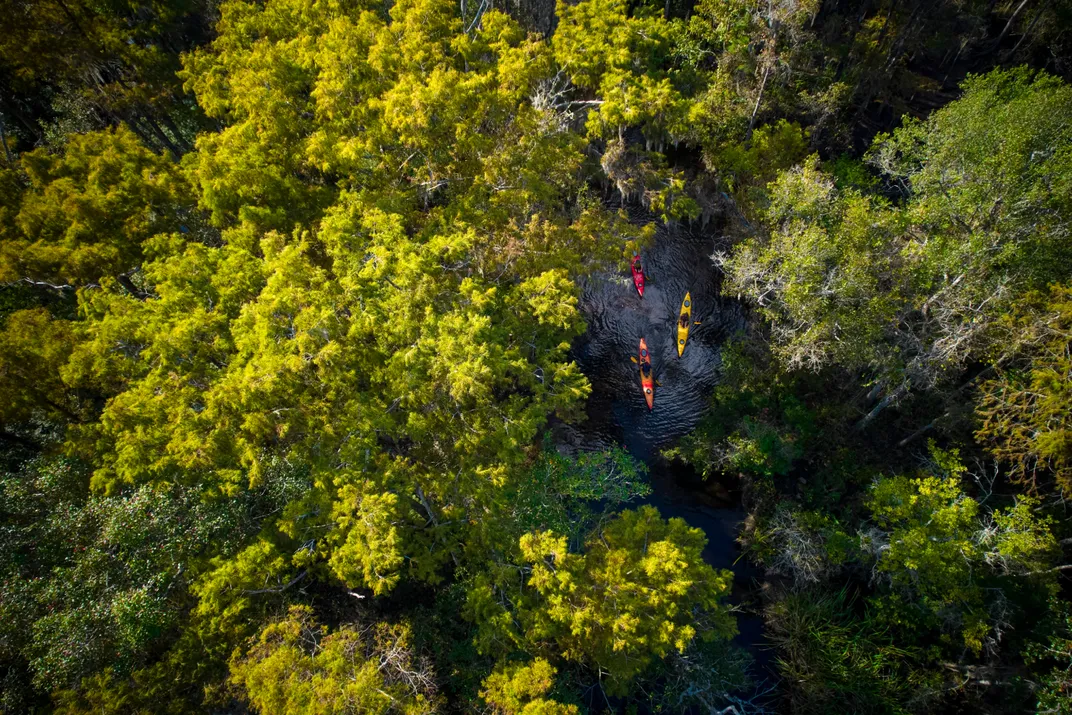 Discover the Charming Allure of Georgia's Golden Isles