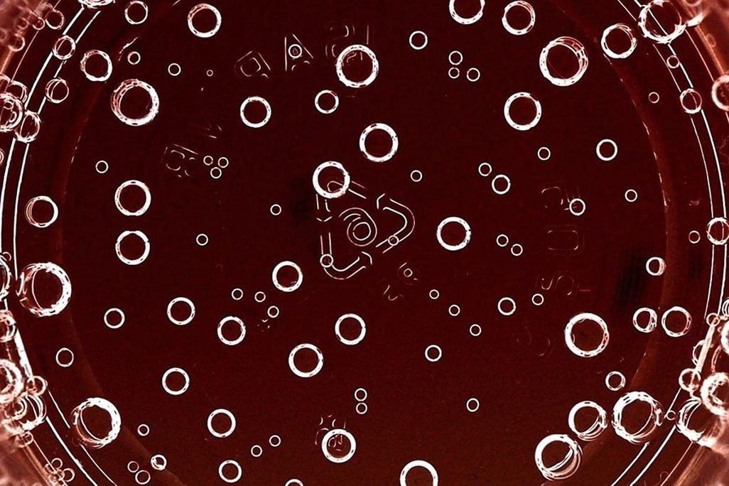 champagne-science-1600x600.jpg