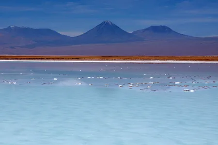 Laguna La Brava in the Atacama desert of Chile.