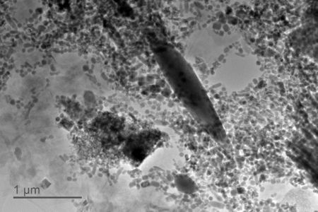 This is a giant spindle magnetofossil, created by a mysterious creature over 50 million years ago. So far, the iron fossils have only been found during two periods of intense global warming. (Kenneth Livi, Courtney Wagner, and Ioan Lascu)
