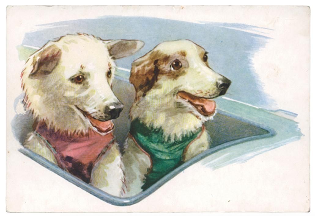Strelka And Belka Space Dogs
