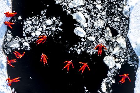 Gilad Topaz&#39;s &quot;Drifting In Space&quot; captures the moment that passengers onboard an icebreaker in the frozen Baltic Sea took a short break to swim.