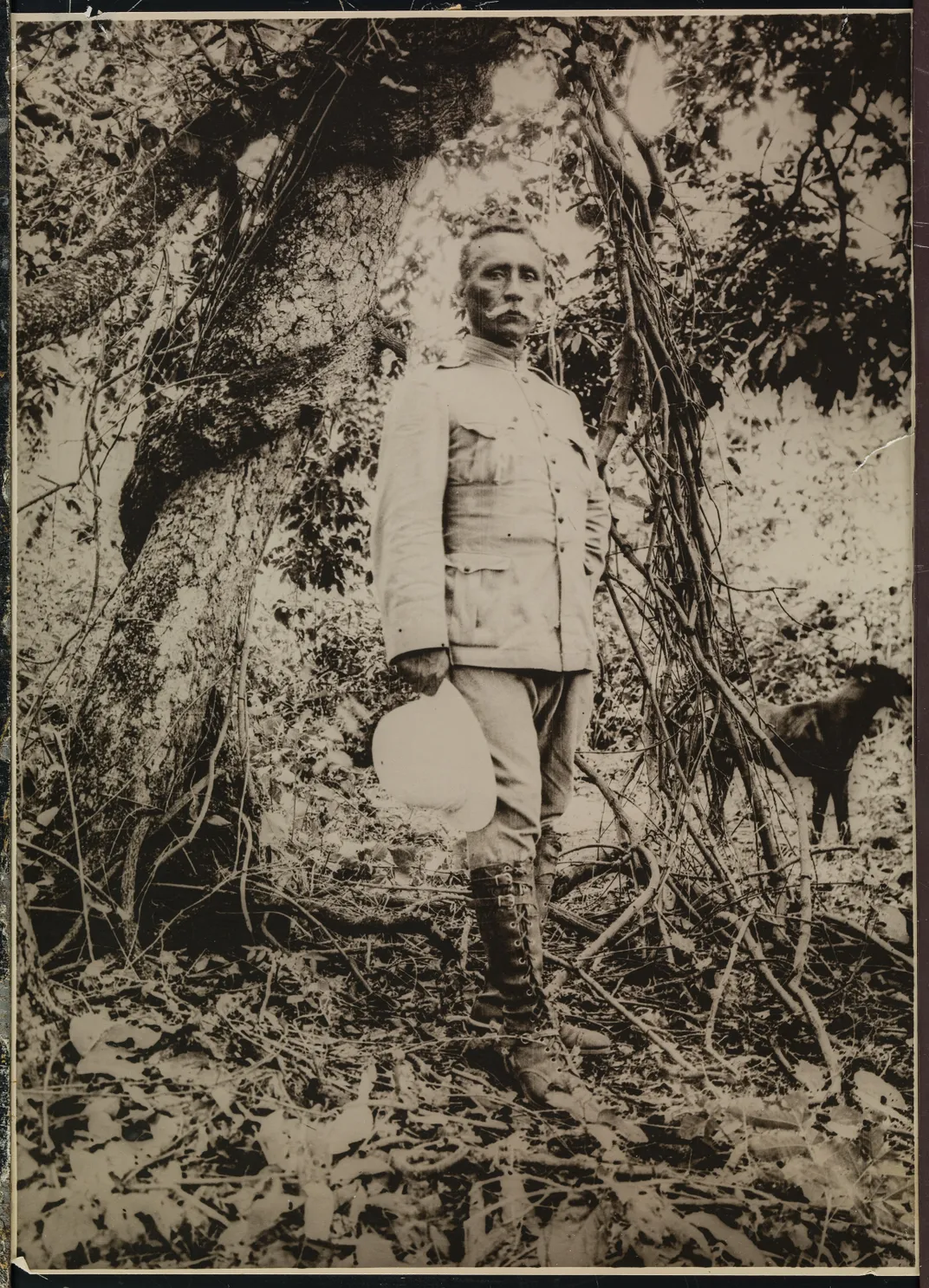 a portrait of a person standing up in a jungle atmosphere