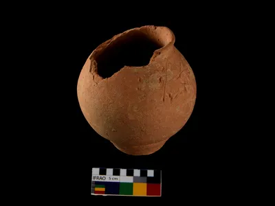 A photograph of a red slipped ware globular pot placed near the head of the skeleton that yielded ancient DNA. There are lines as well as indentations on the upper right side, just below the rim. The indentations on the body of the pot could be examples of ancient graffiti and/or "Indus script."


