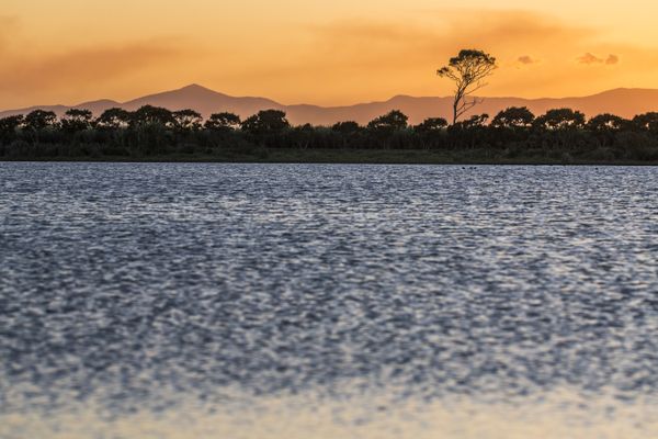 Sunset Splendor over Plantation Creek, Burdekin Shire thumbnail