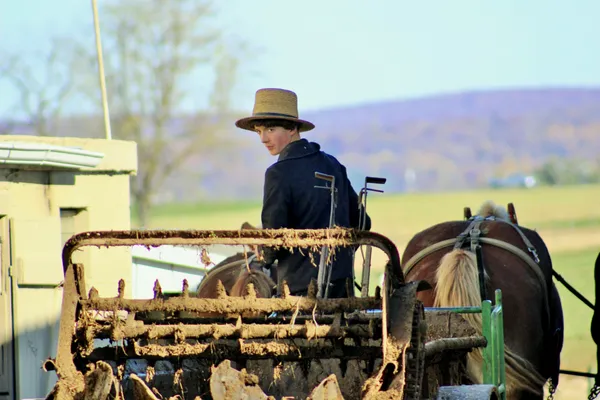 Farm Boy thumbnail