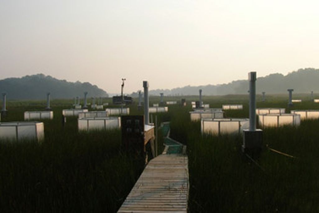 Chesapeake Bay research from 2006