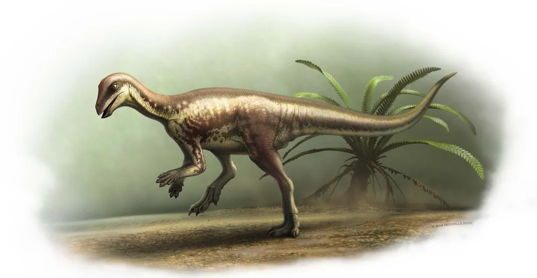 Drawing of a small dinosaur